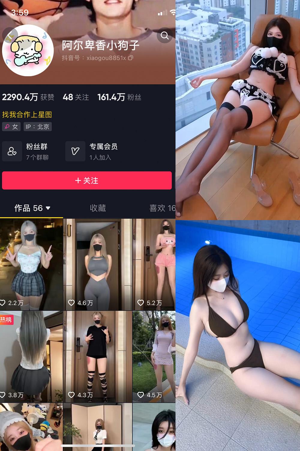 抖音 阿尔卑香小狗子 微密圈视图 | 觅圈  NO.062期 【8V】